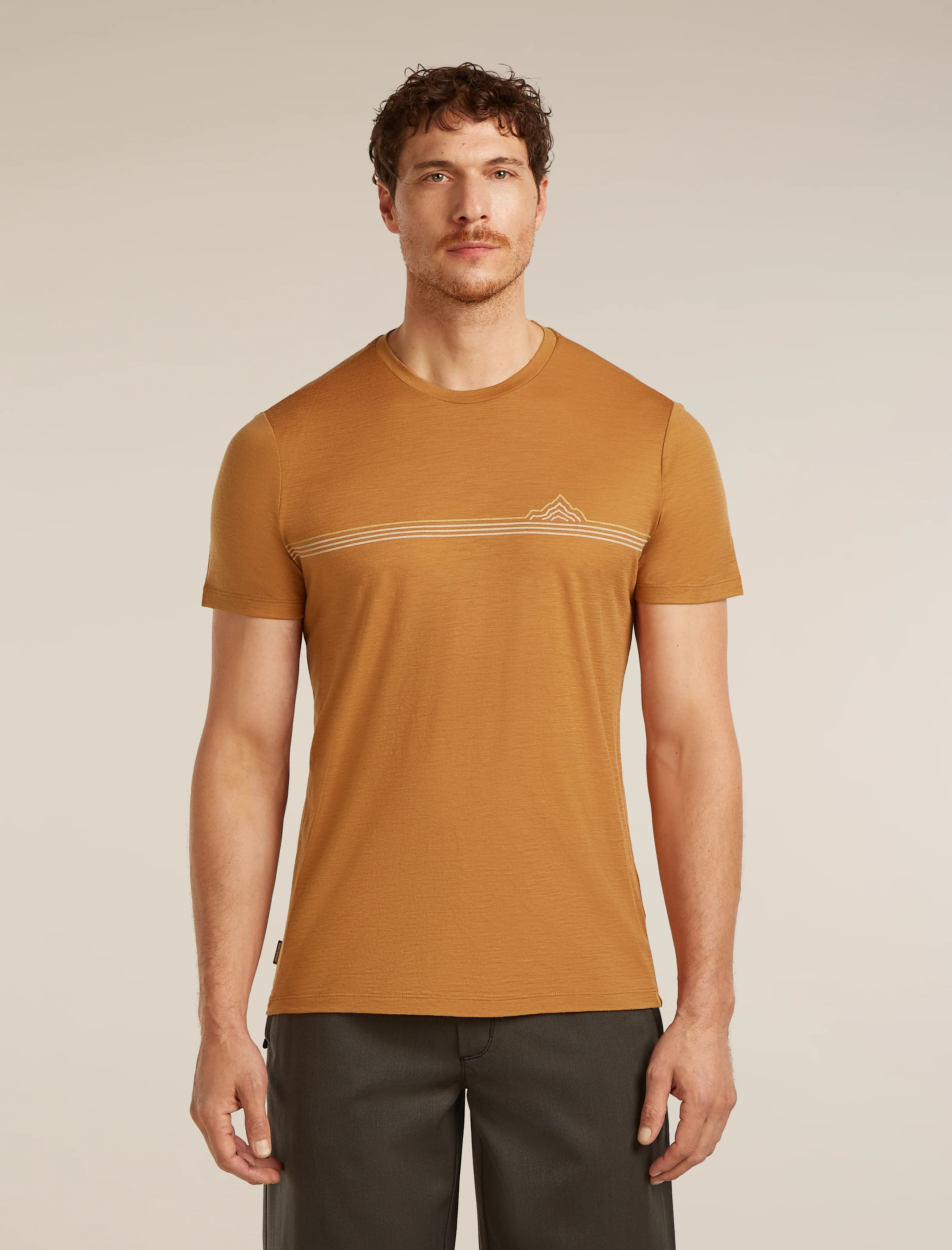 Men’s Merino 150 Tech Lite Short Sleeve T-Shirt Range Stripes